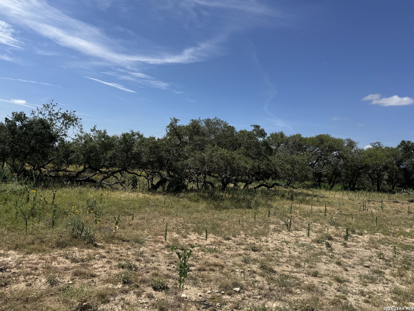 1864 Panther Hollow Bandera TX 78003