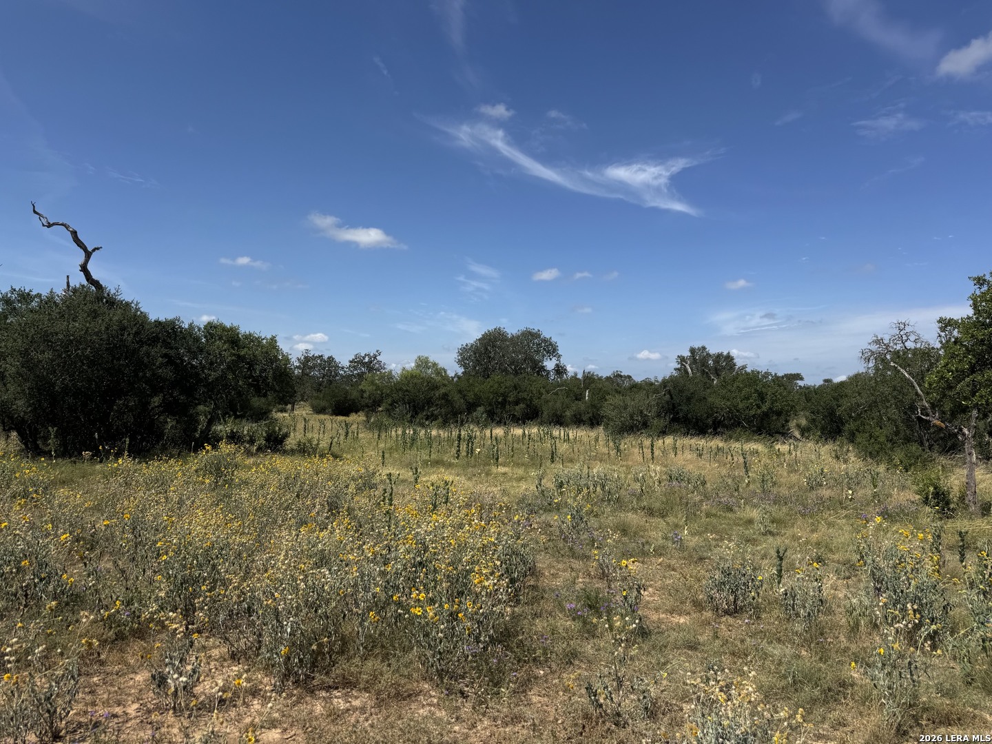 1864 Panther Hollow Bandera TX 78003