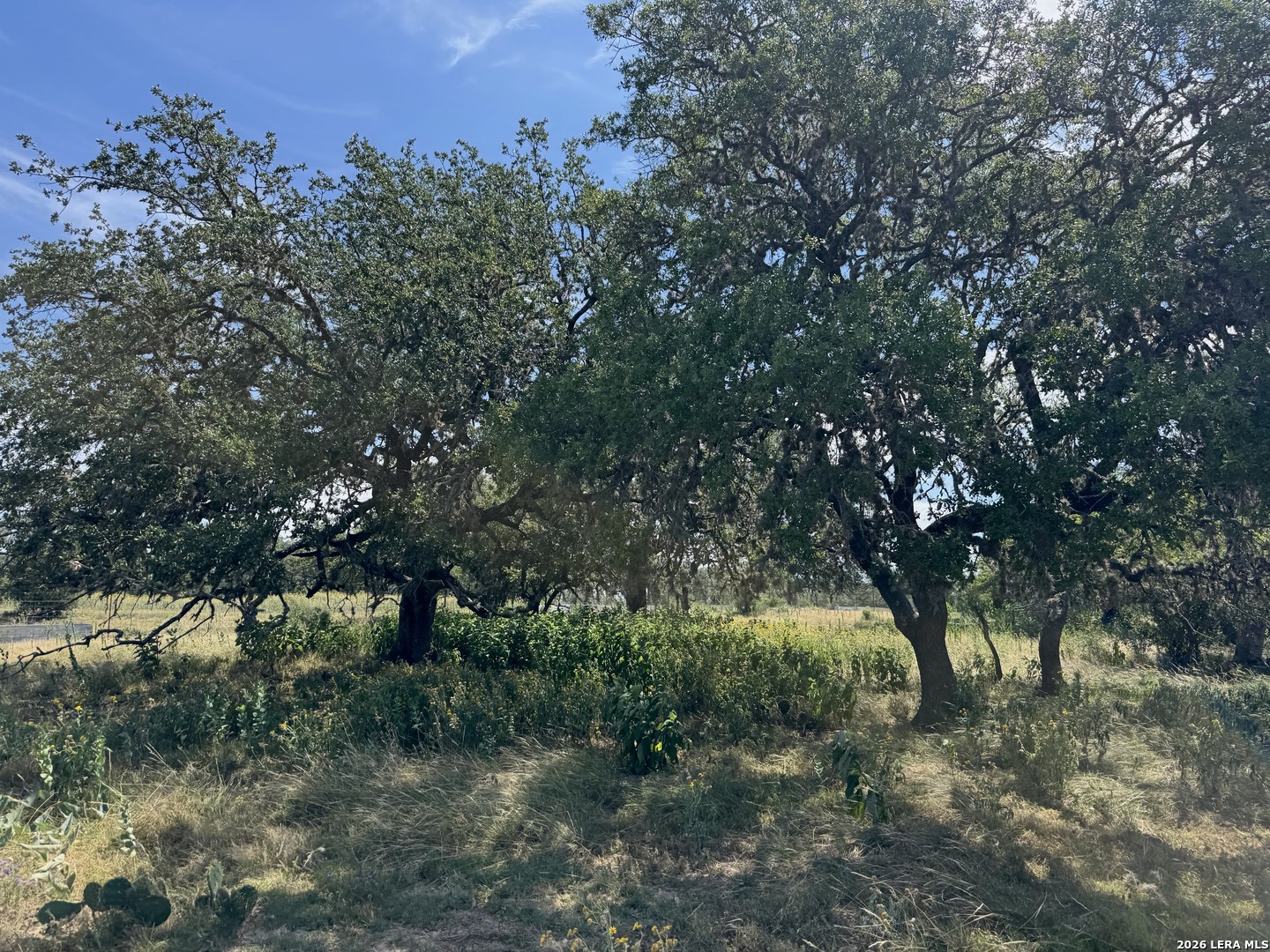 1864 Panther Hollow Bandera TX 78003