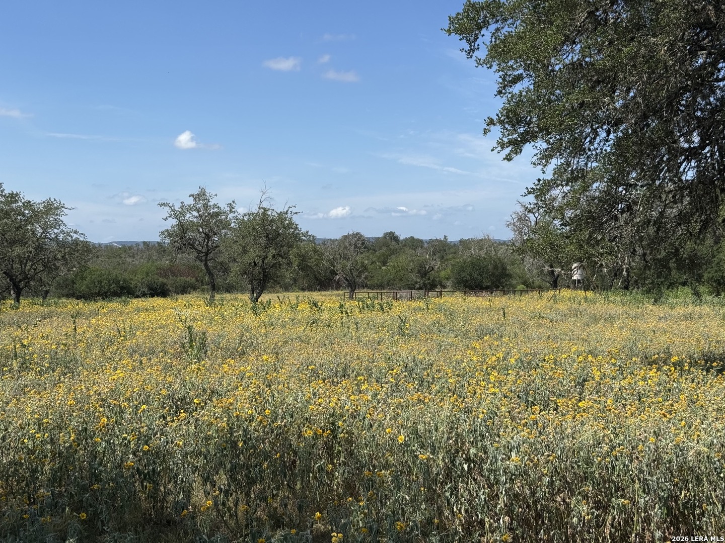 1864 Panther Hollow Bandera TX 78003