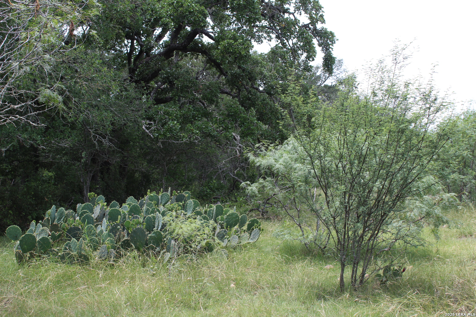 Tbd Fm 3353 Seguin TX 78155