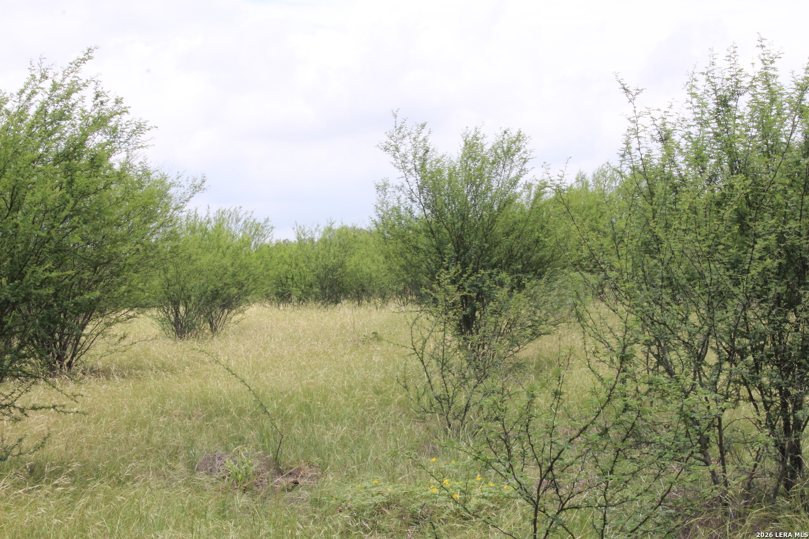 Tbd Fm 3353 Seguin TX 78155