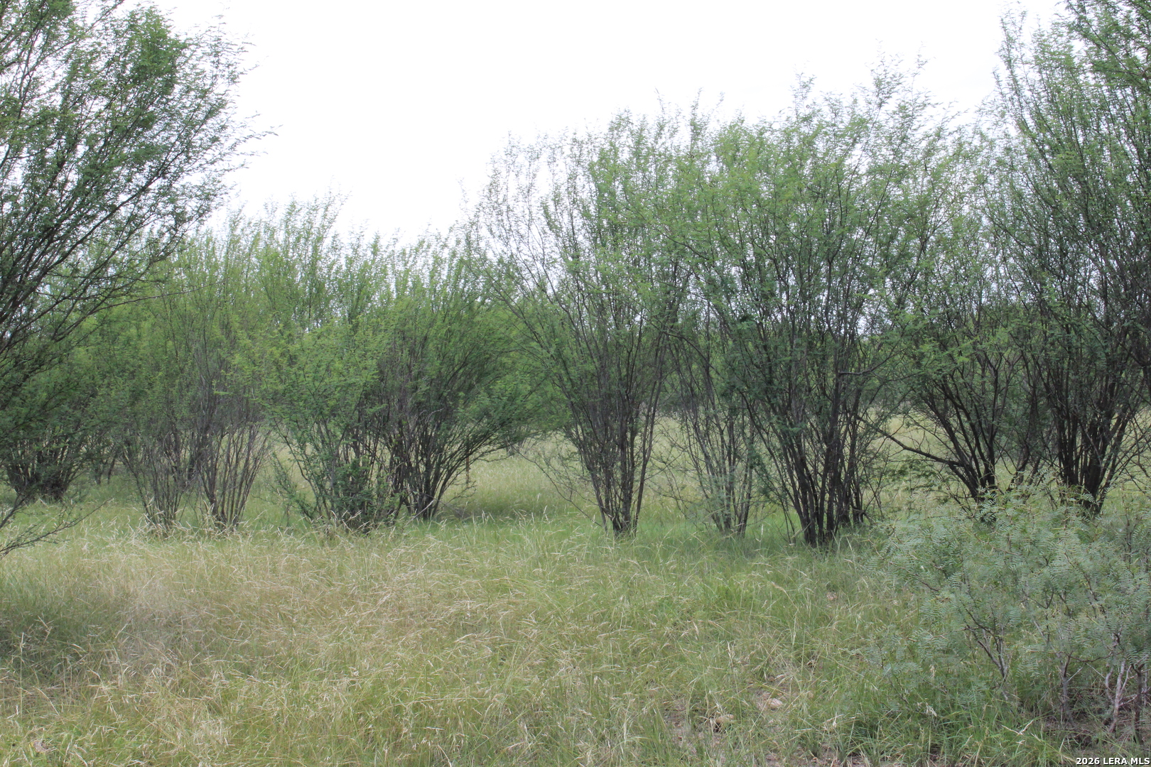 Tbd Fm 3353 Seguin TX 78155
