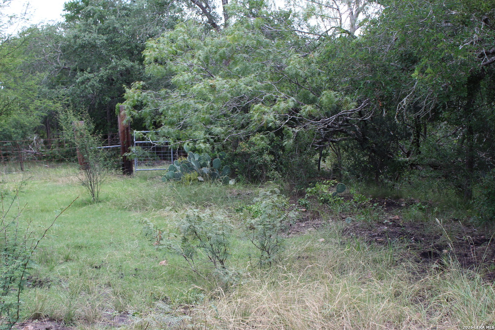 Tbd Fm 3353 Seguin TX 78155