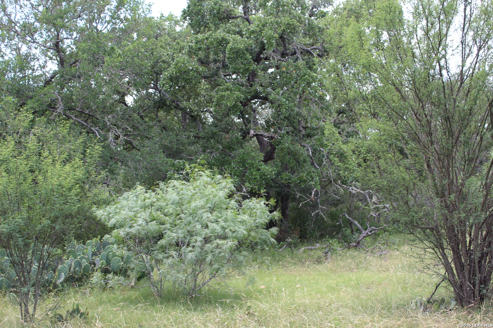 Tbd Fm 3353 Seguin TX 78155