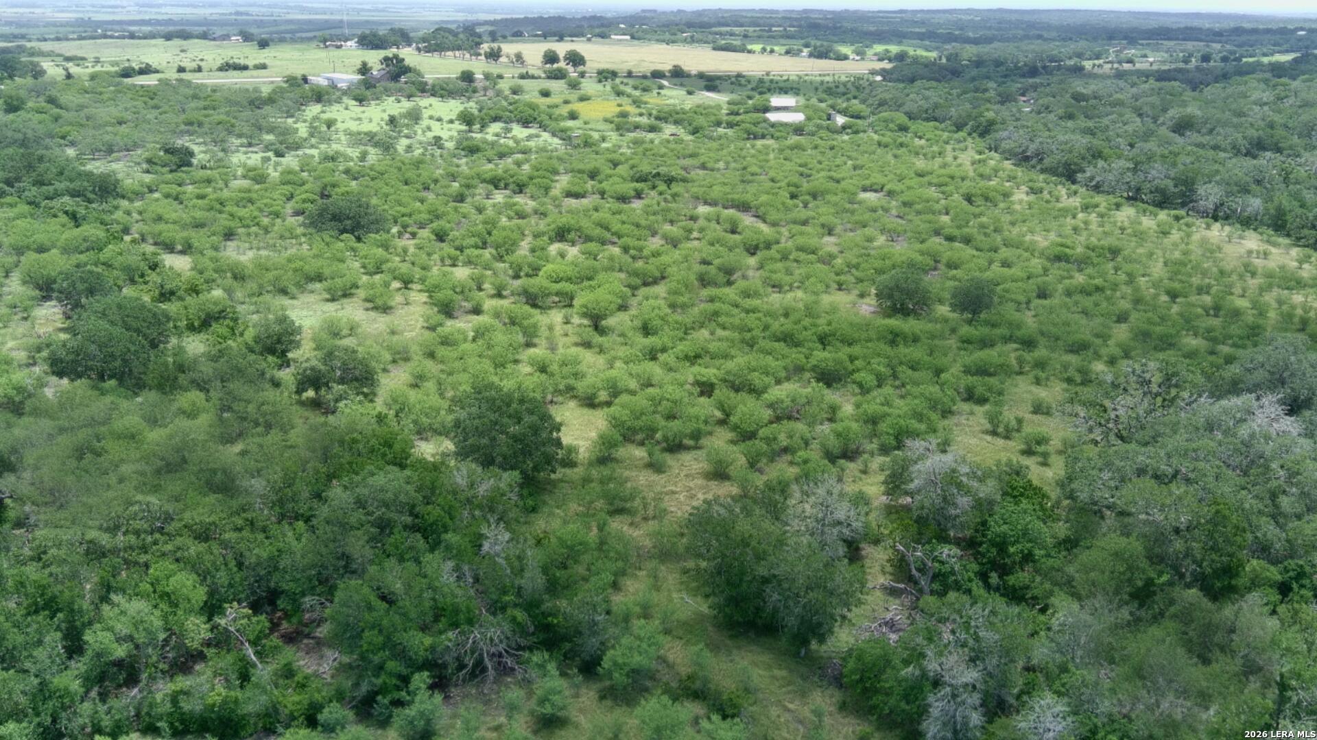 Tbd Fm 3353 Seguin TX 78155
