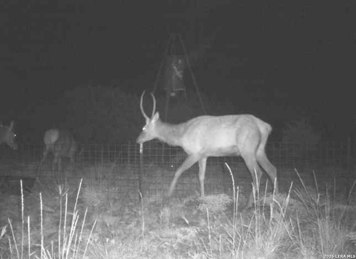 Sd 16010 Sd Rocksprings TX 78880