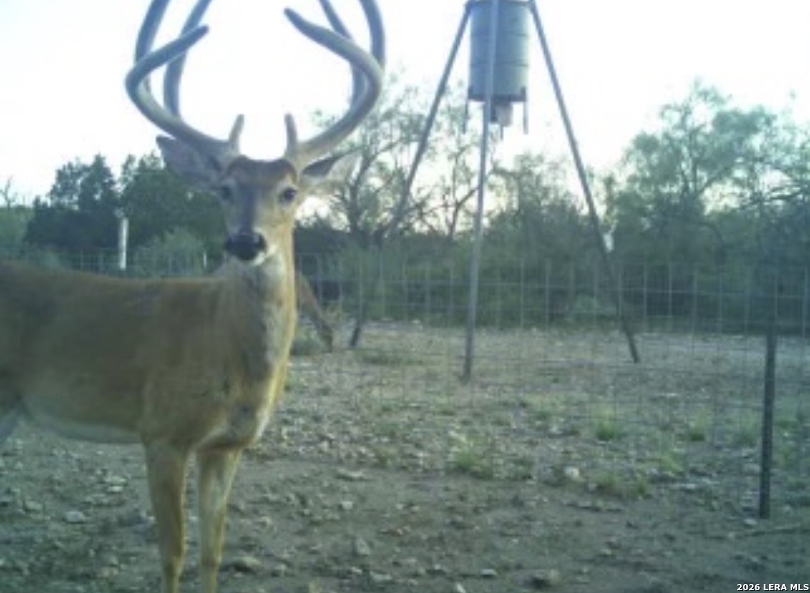Sd 16010 Sd Rocksprings TX 78880