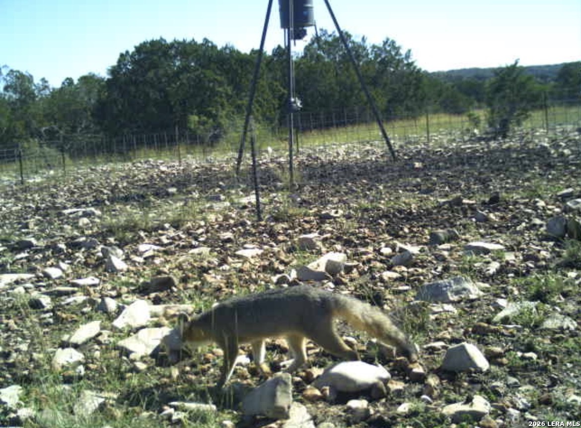 Sd 16010 Sd Rocksprings TX 78880