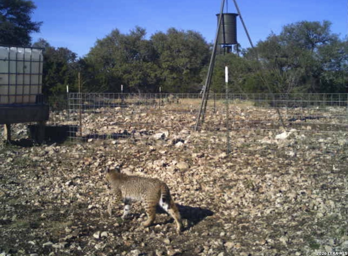 Sd 16010 Sd Rocksprings TX 78880