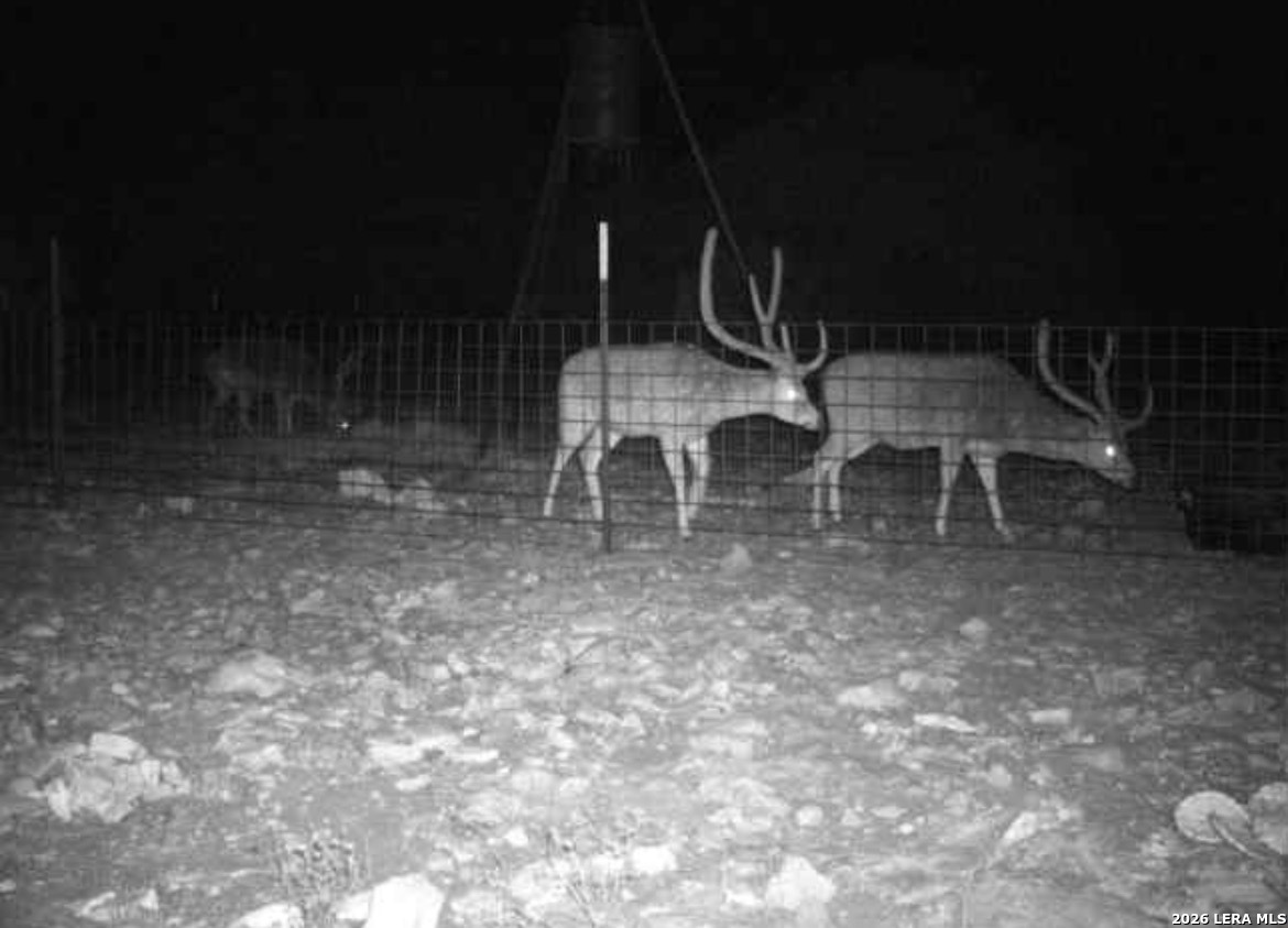 Sd 16010 Sd Rocksprings TX 78880
