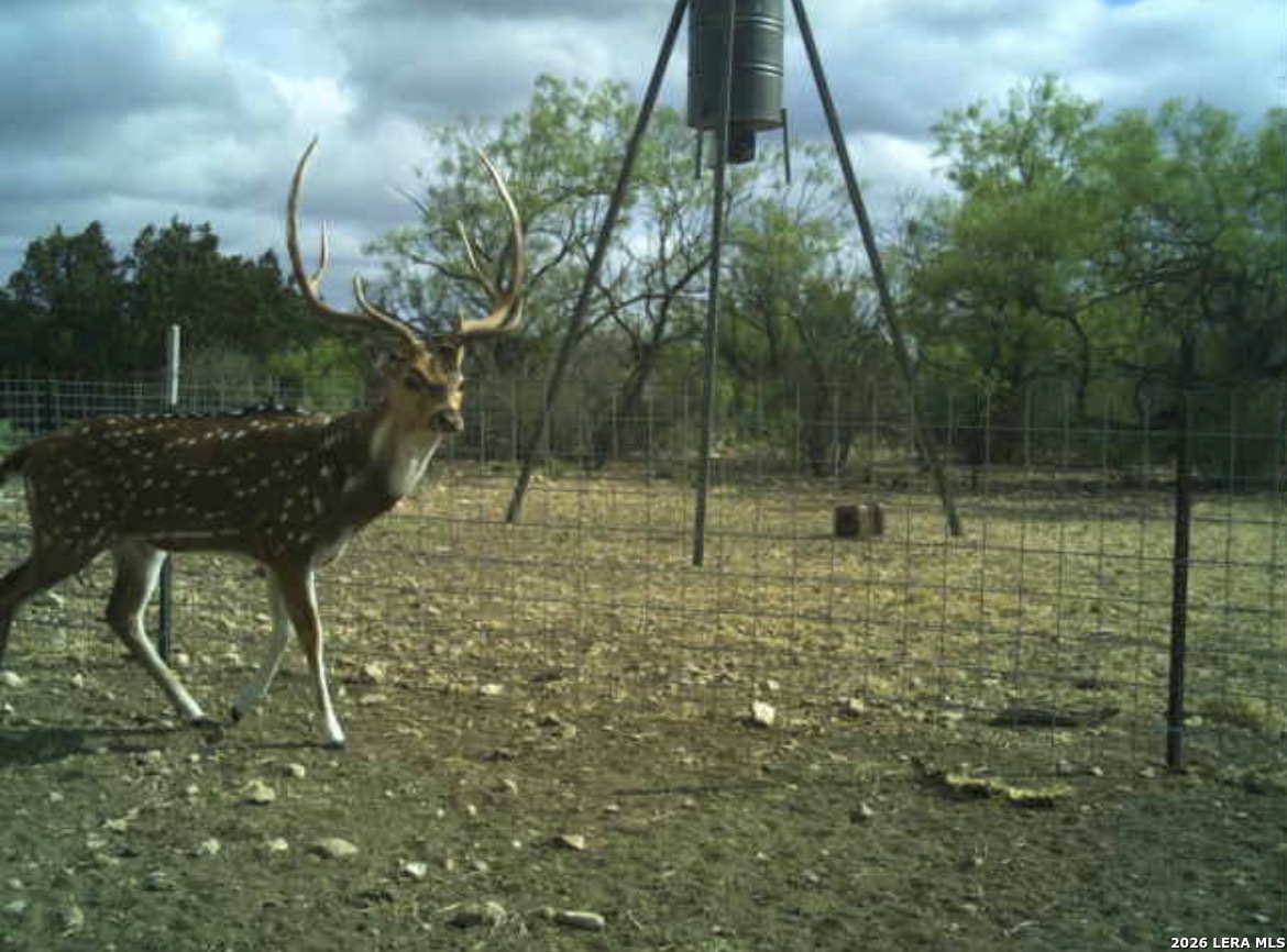 Sd 16010 Sd Rocksprings TX 78880