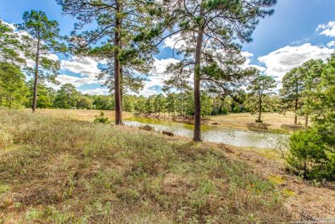 408 Copeland Hill Smithville TX 78957