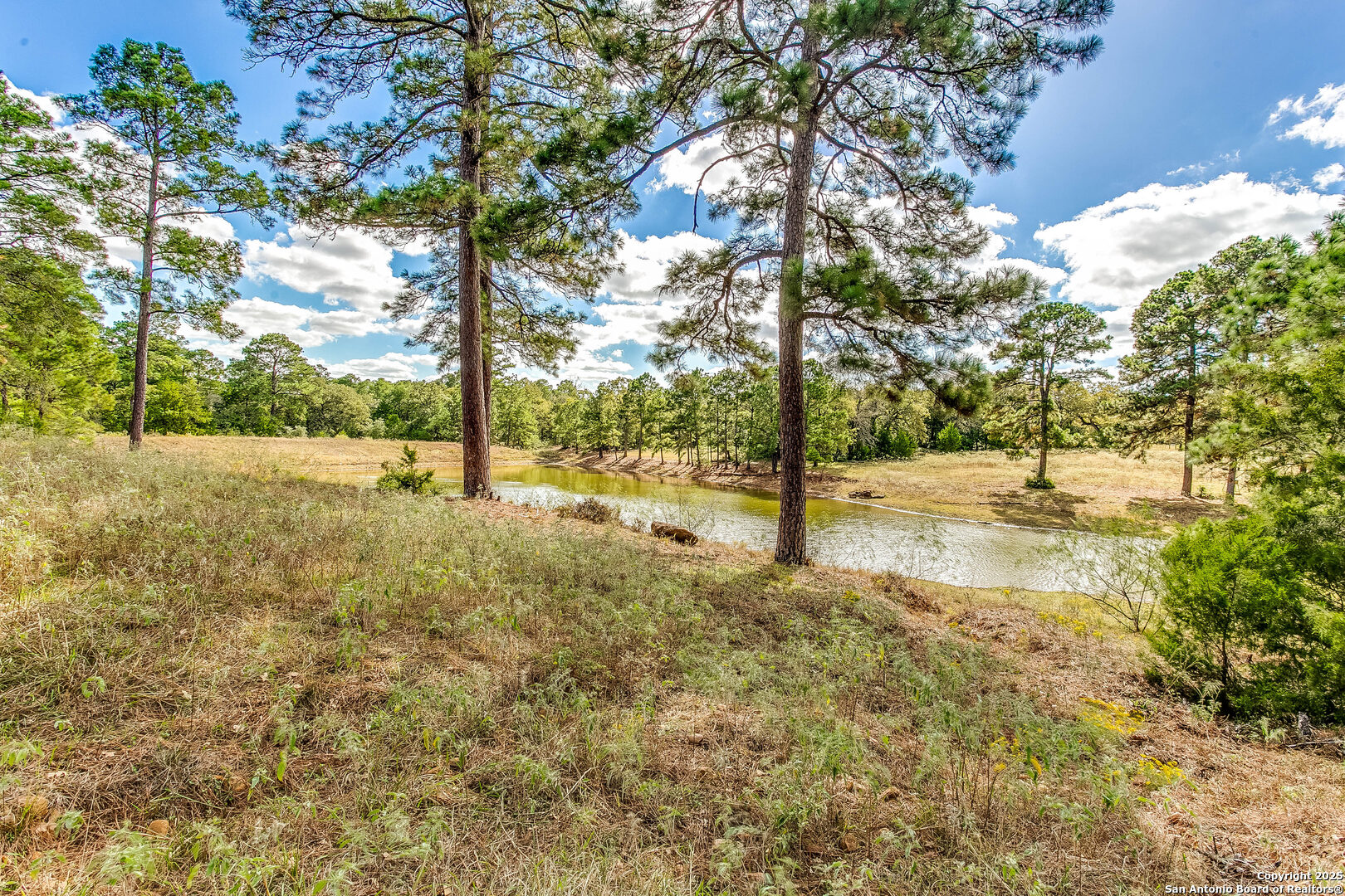 408 Copeland Hill Smithville TX 78957