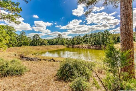 408 Copeland Hill Smithville TX 78957