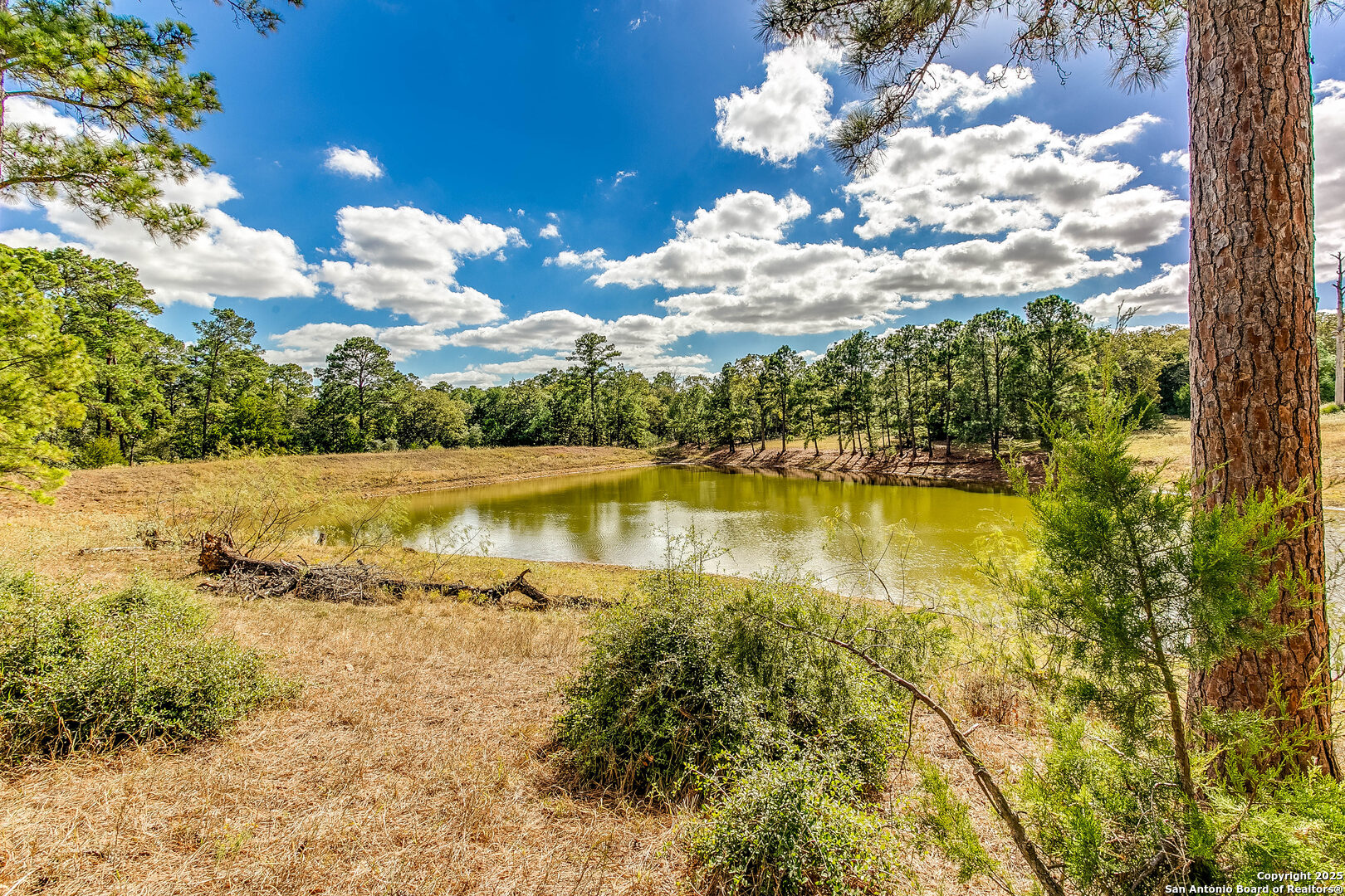 408 Copeland Hill Smithville TX 78957