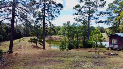 408 Copeland Hill Smithville TX 78957
