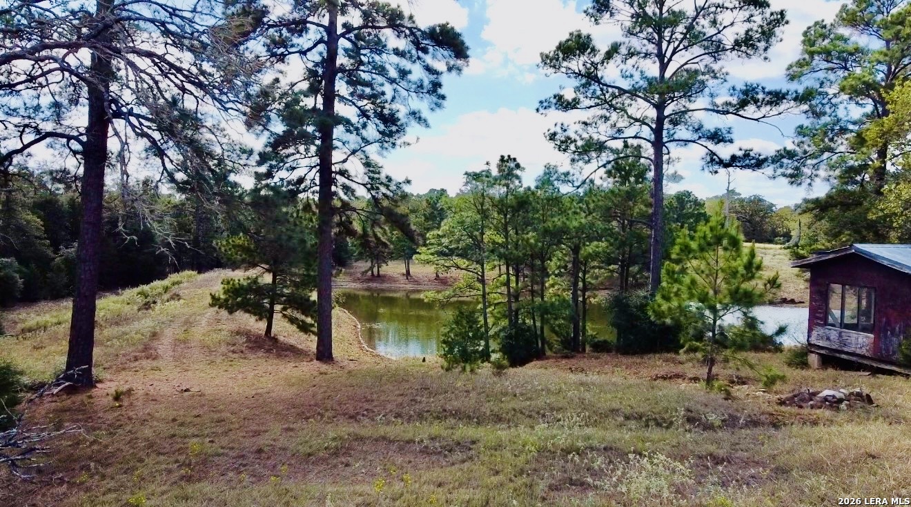 408 Copeland Hill Smithville TX 78957