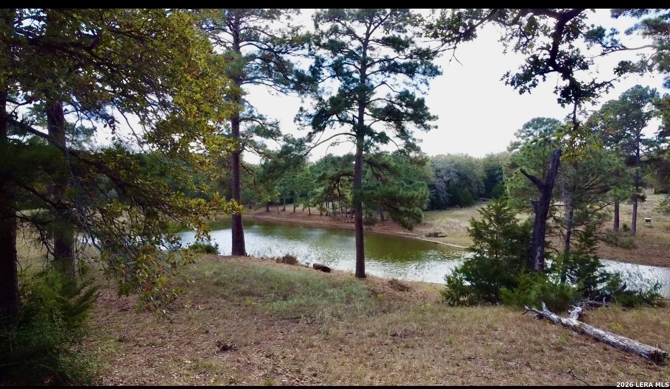 408 Copeland Hill Smithville TX 78957