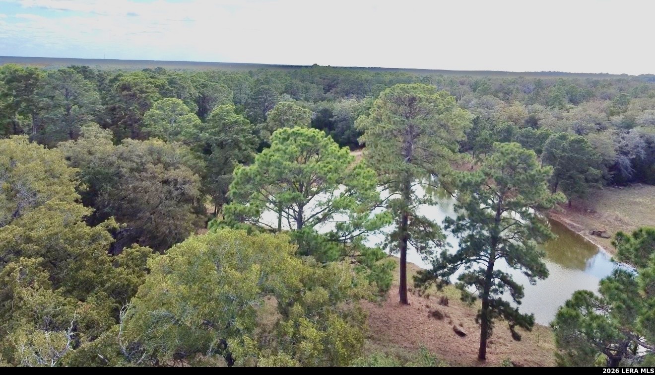 408 Copeland Hill Smithville TX 78957