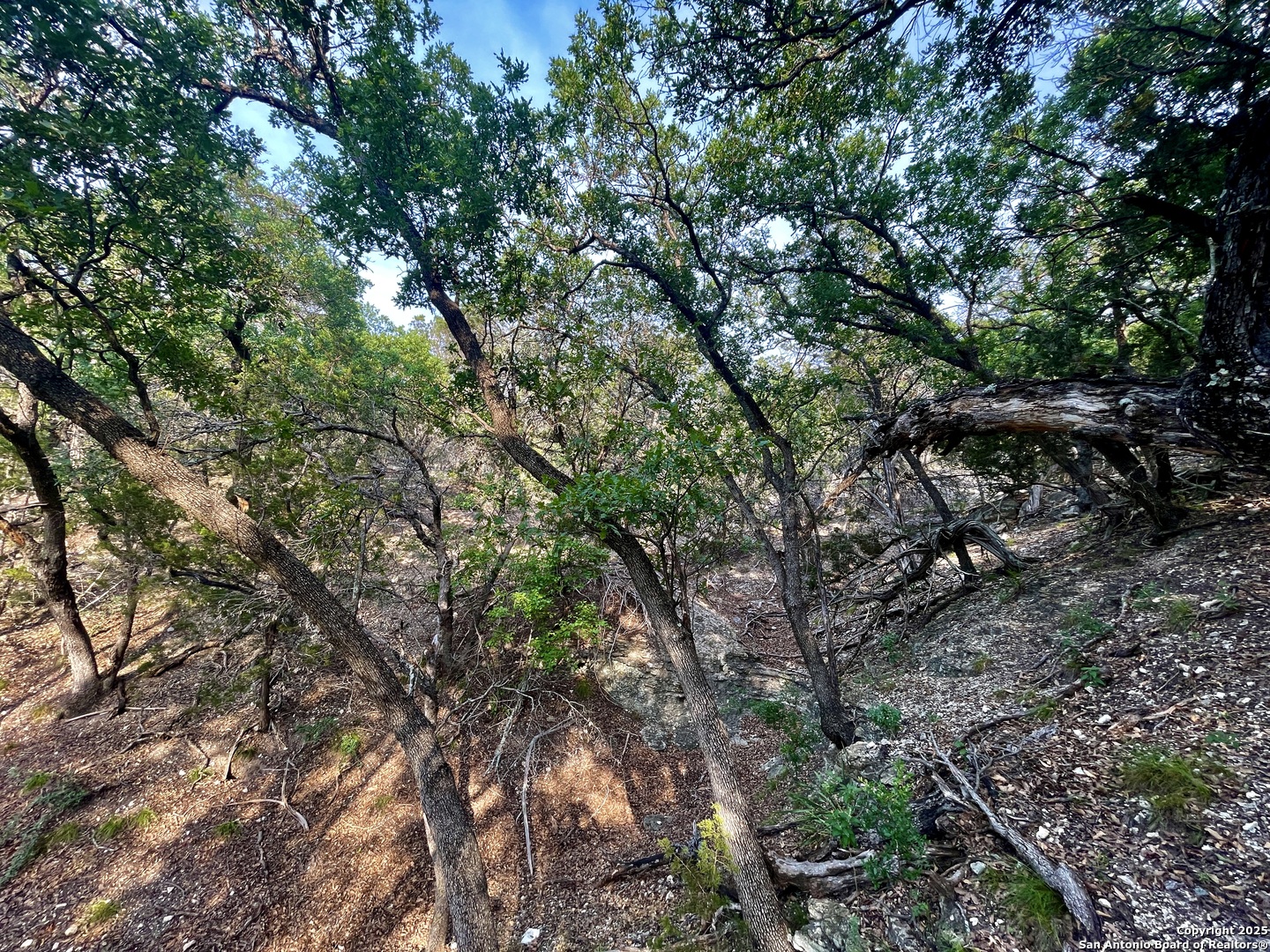 410 Craig Junction TX 76849