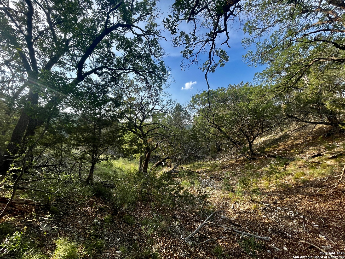 410 Craig Junction TX 76849