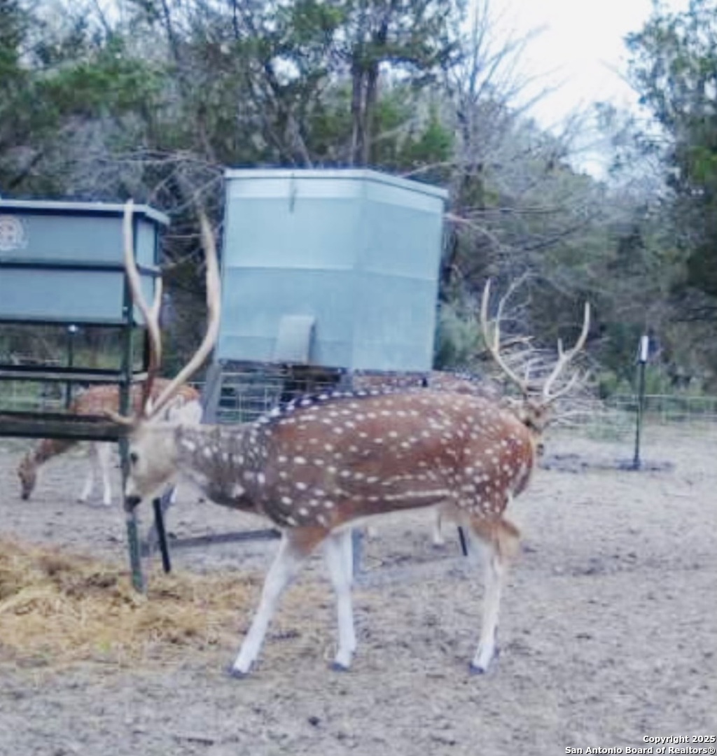 410 Craig Junction TX 76849