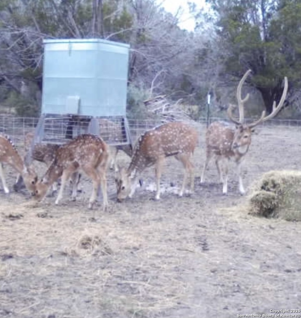 410 Craig Junction TX 76849