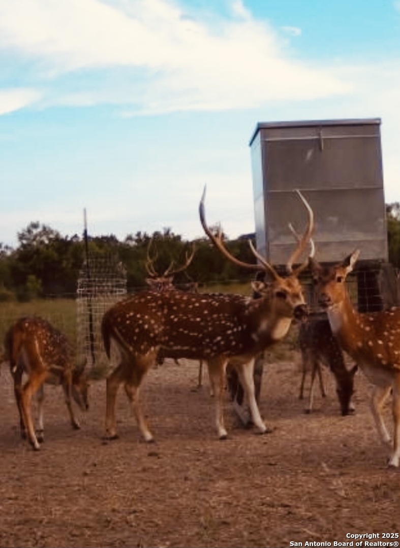 410 Craig Junction TX 76849