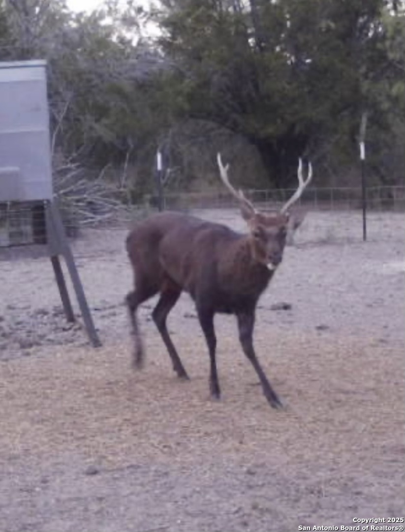 410 Craig Junction TX 76849