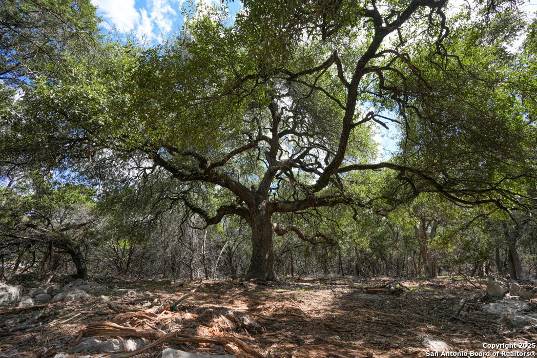 330 Rayner Ranch Spring Branch TX 78070