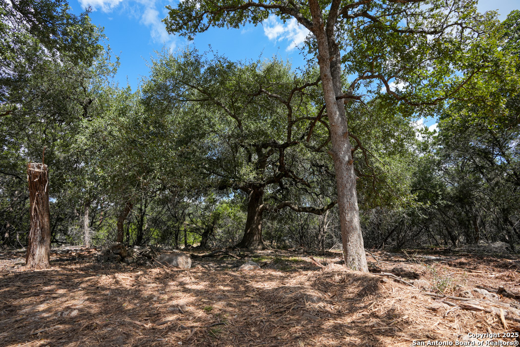 330 Rayner Ranch Spring Branch TX 78070