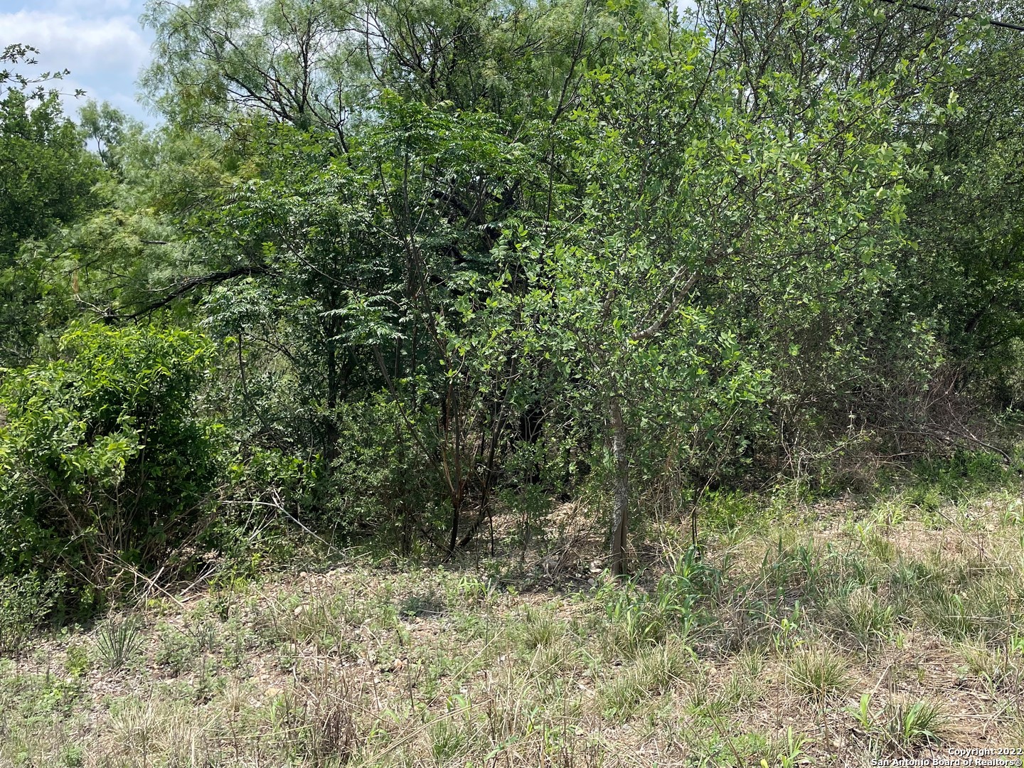 229 County Road 5634 Castroville TX 78009
