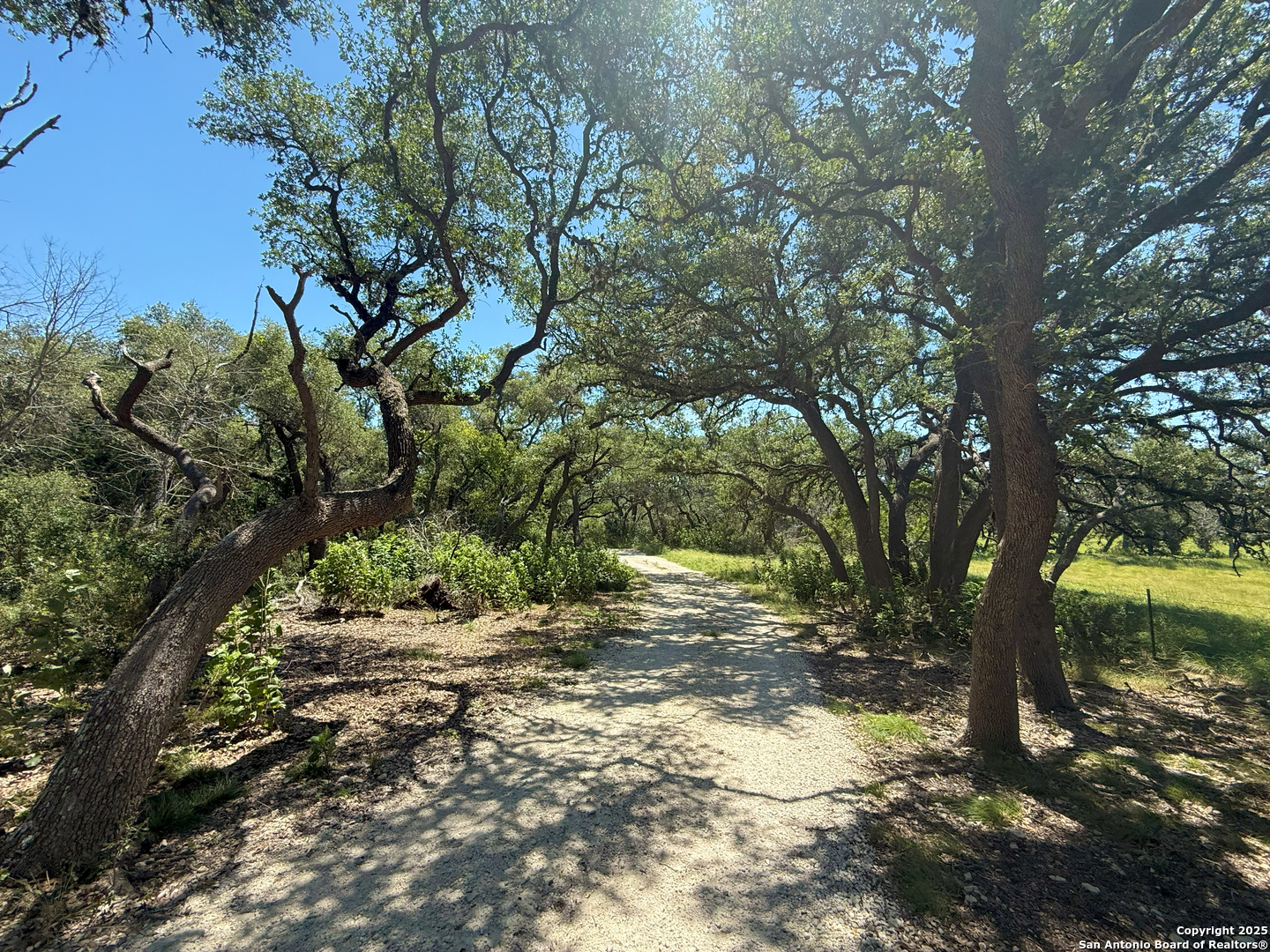 1448 Crabapple Road Blanco TX 78606