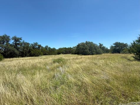 1448 Crabapple Road Blanco TX 78606