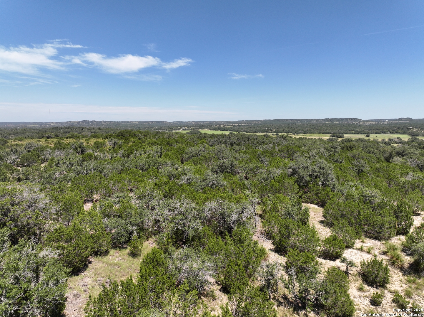 1448 Crabapple Road Blanco TX 78606