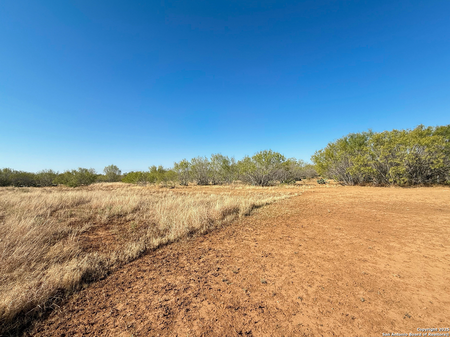 179 Pr 6624 Devine TX 78016