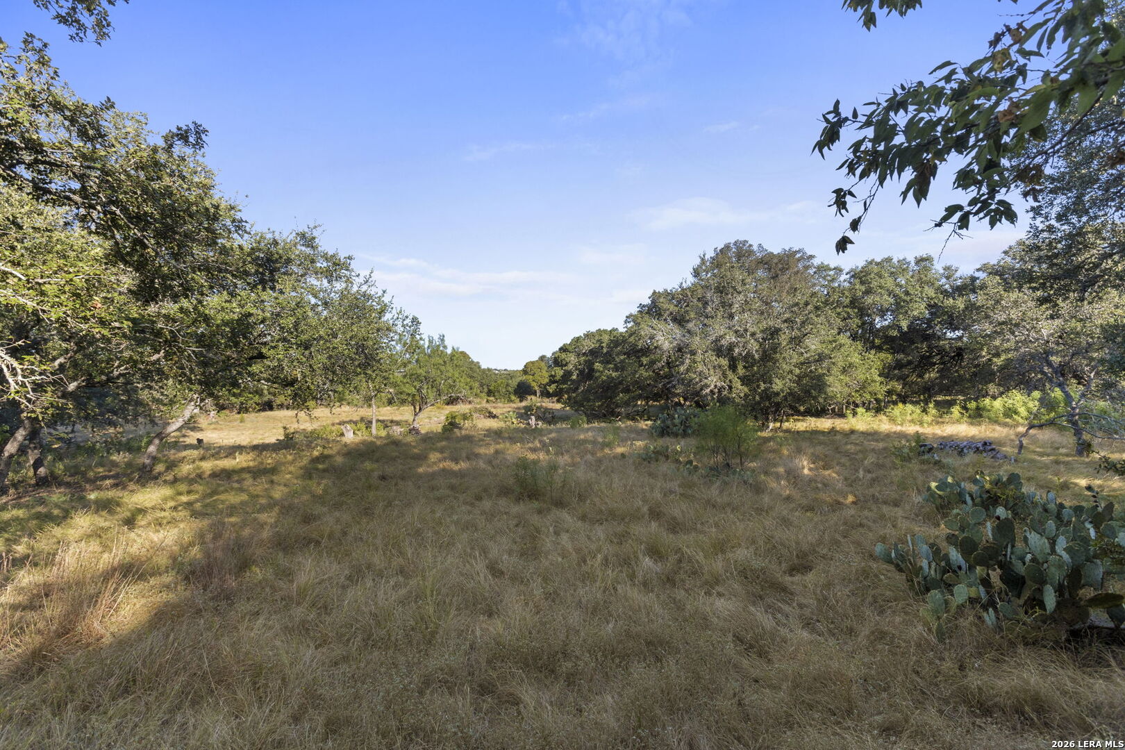30931 Firebird Lane Boerne TX 78015