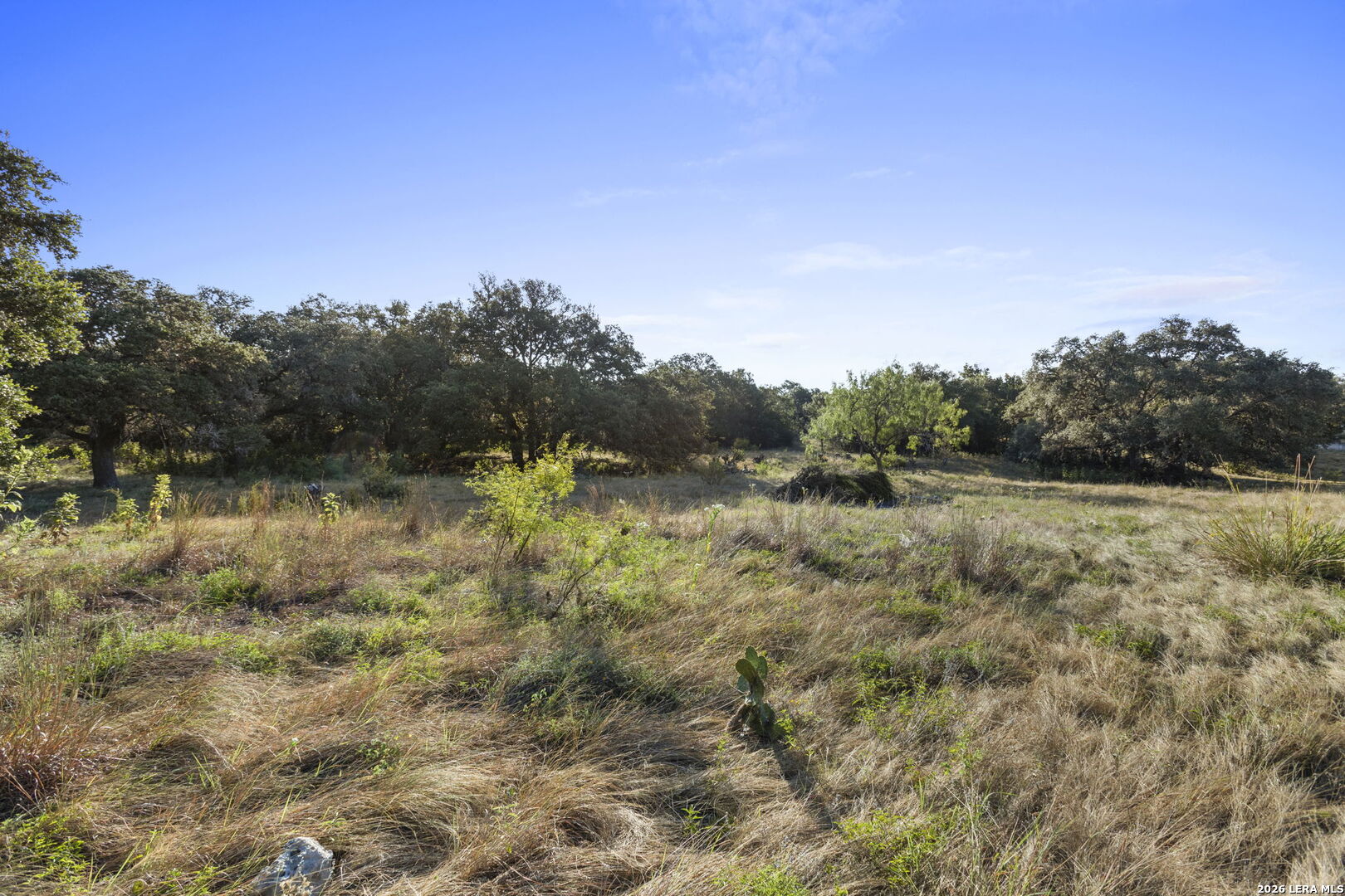 30931 Firebird Lane Boerne TX 78015