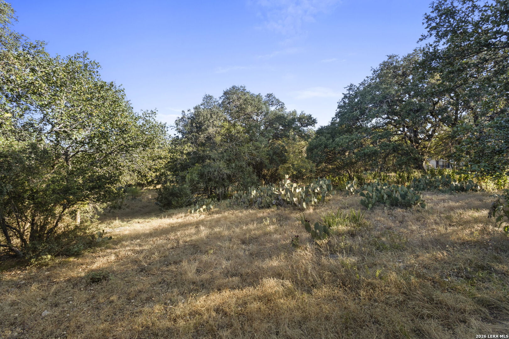30931 Firebird Lane Boerne TX 78015