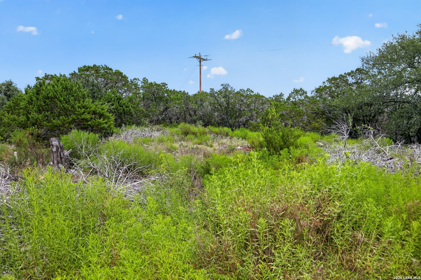 1266 Bellewood Lane Canyon Lake TX 78133