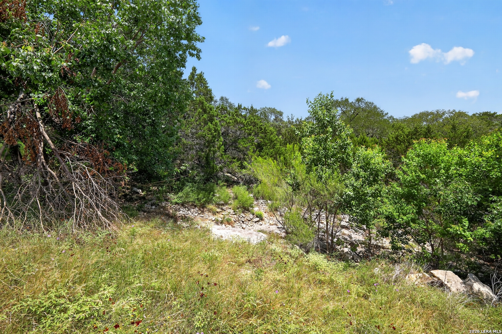 1266 Bellewood Lane Canyon Lake TX 78133
