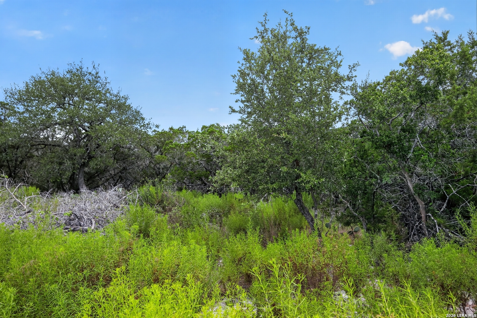 1266 Bellewood Lane Canyon Lake TX 78133