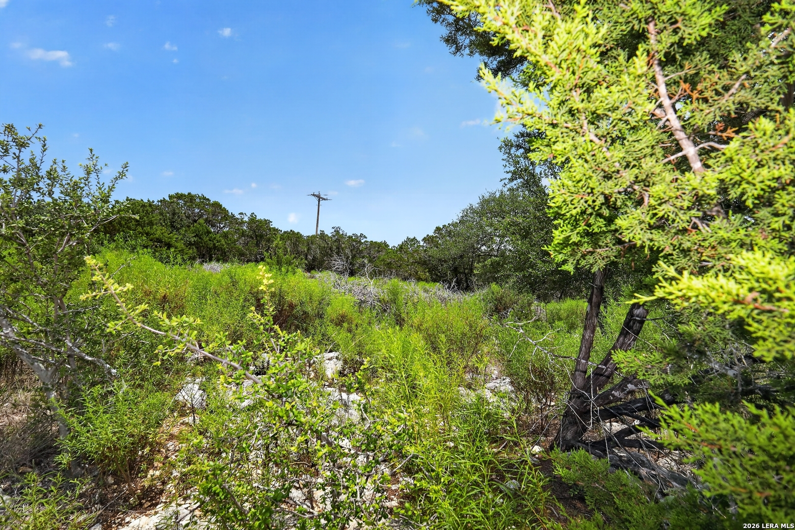 1266 Bellewood Lane Canyon Lake TX 78133