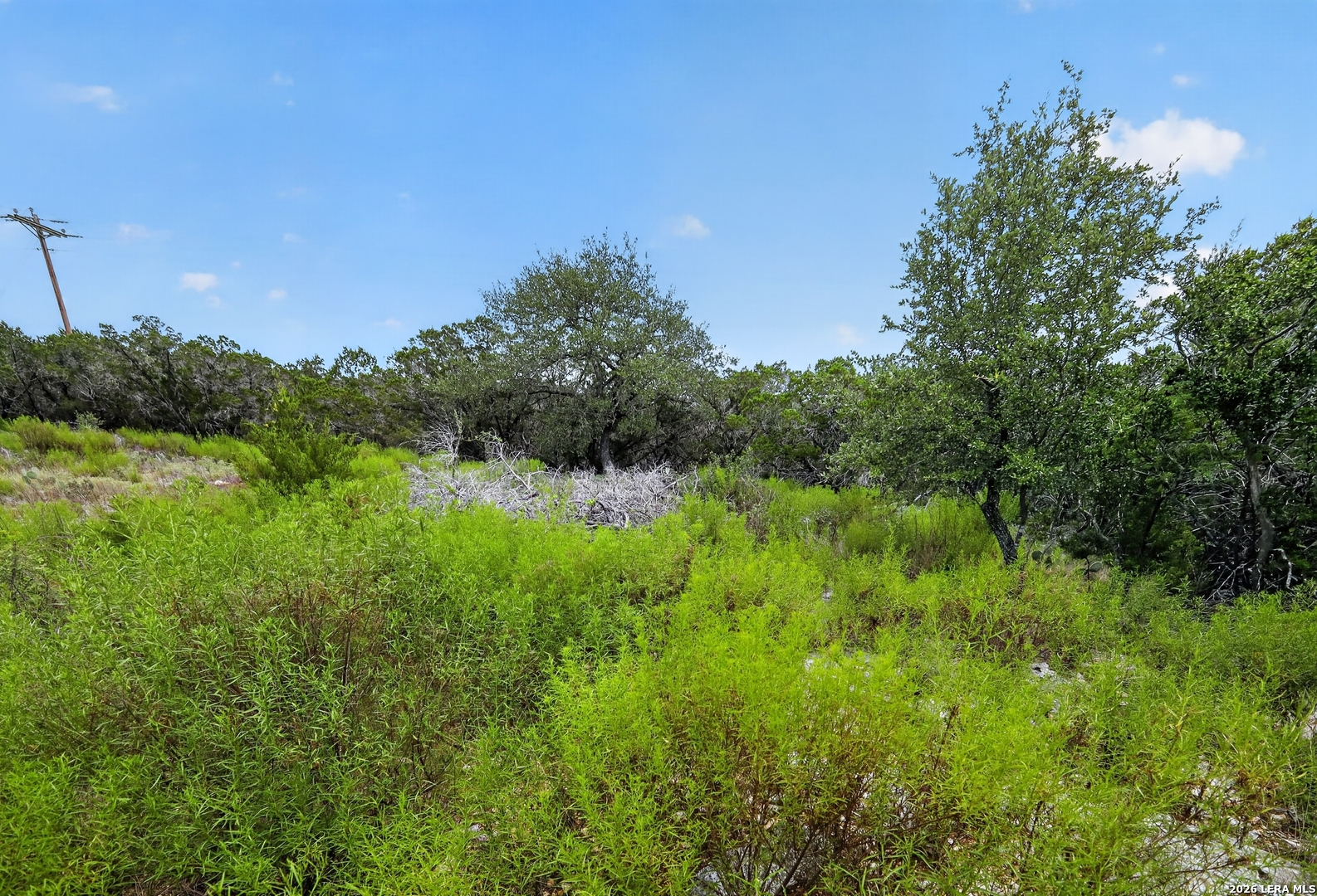 1266 Bellewood Lane Canyon Lake TX 78133