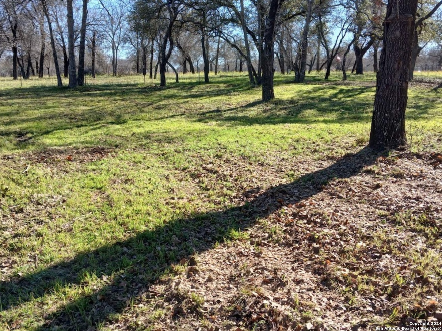 286 County Road 6876 Natalia TX 78059