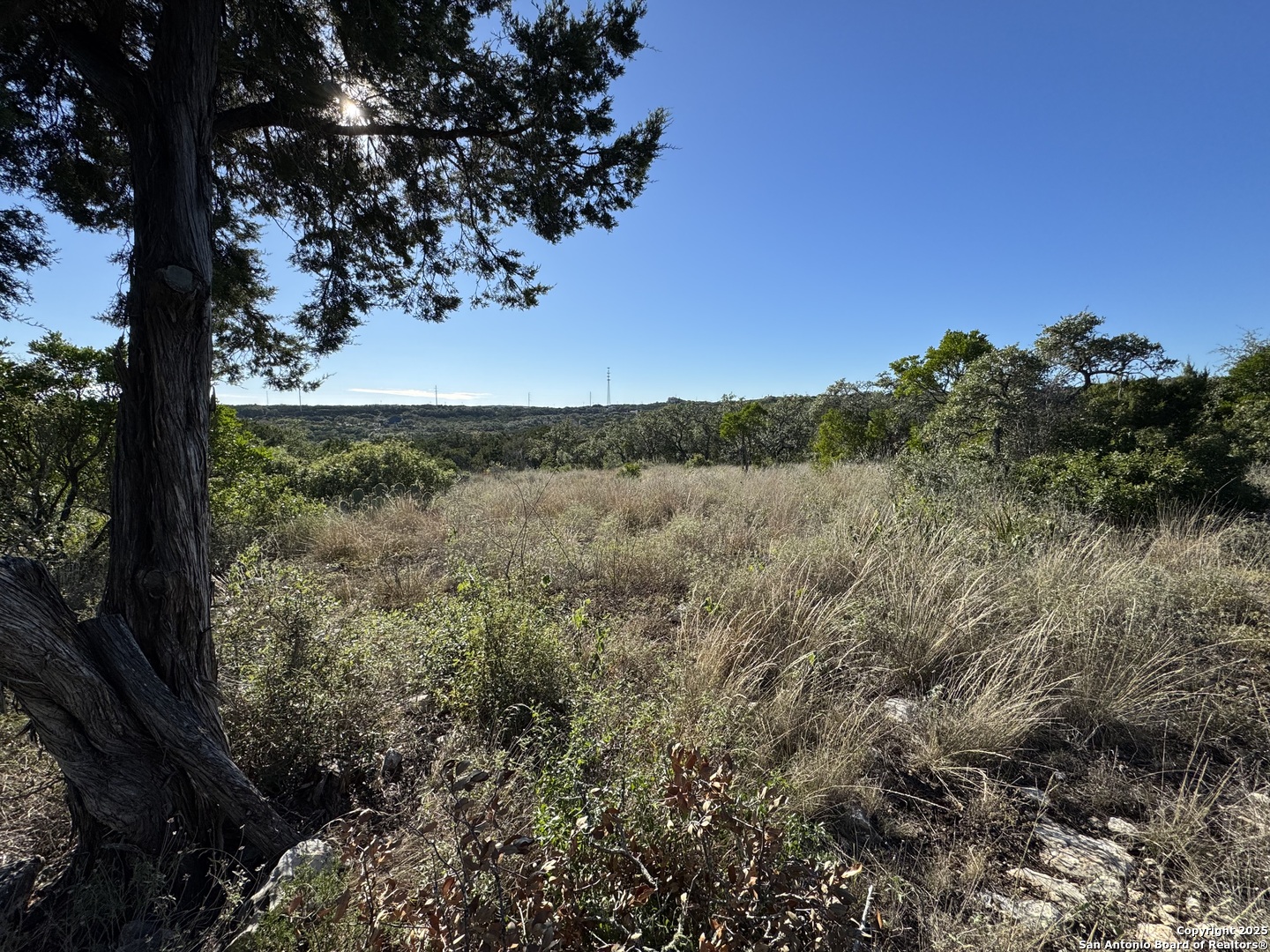 Lot 31 W Cr 2801 Mico TX 78056