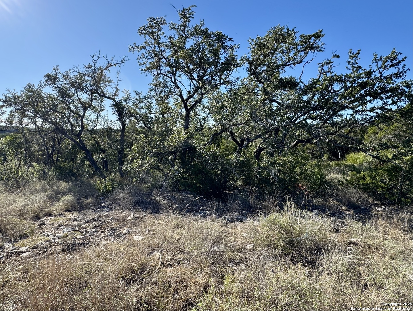Lot 31 W Cr 2801 Mico TX 78056