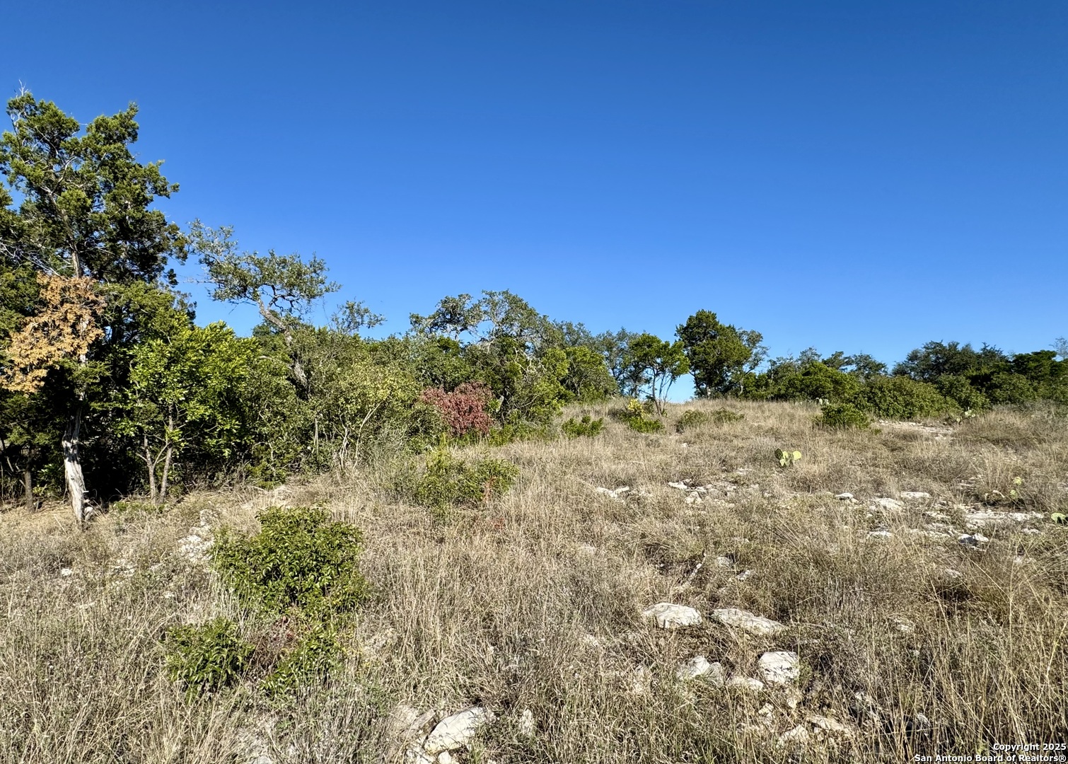 Lot 31 W Cr 2801 Mico TX 78056