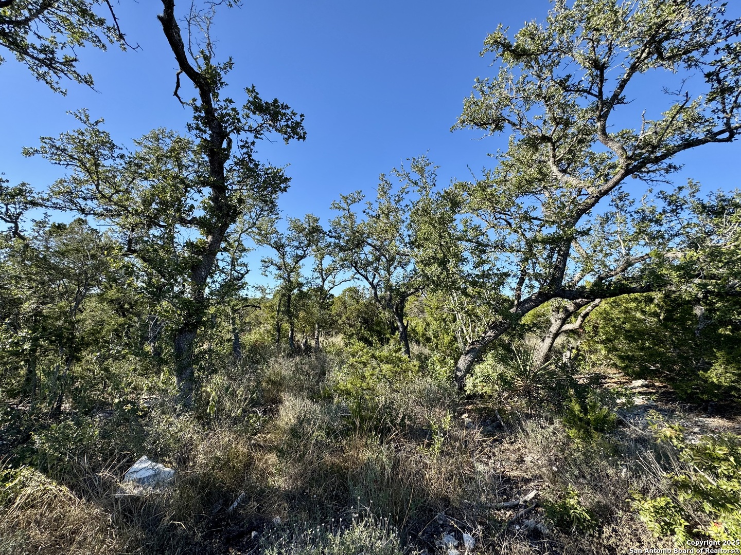 Lot 31 W Cr 2801 Mico TX 78056